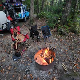 Public Campgrounds: Elkmont Campground — Great Smoky Mountains National Park