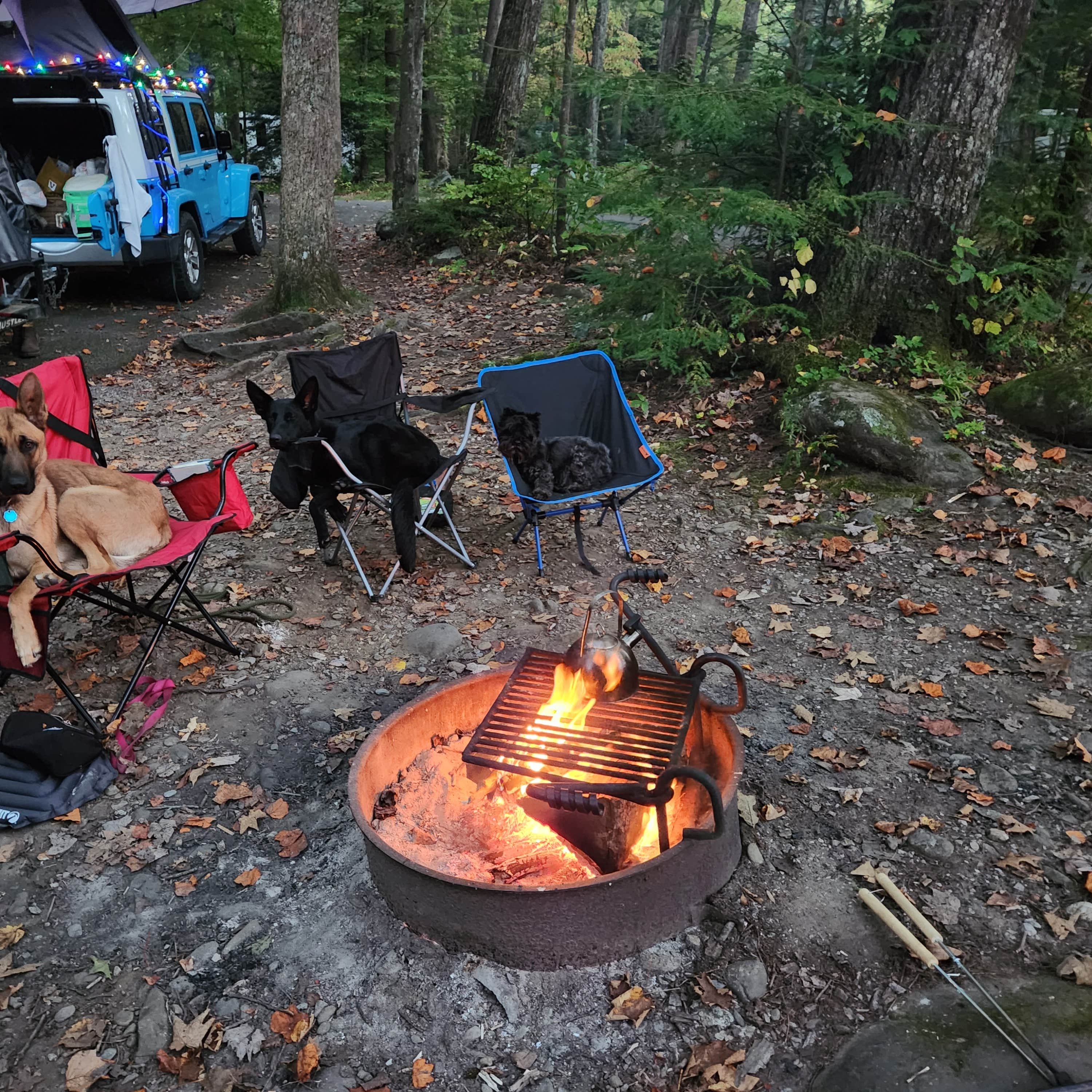 Elkmont Campground — Great Smoky Mountains National Park