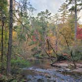 Review photo of Elkmont Campground — Great Smoky Mountains National Park by Shawn S., May 4, 2026