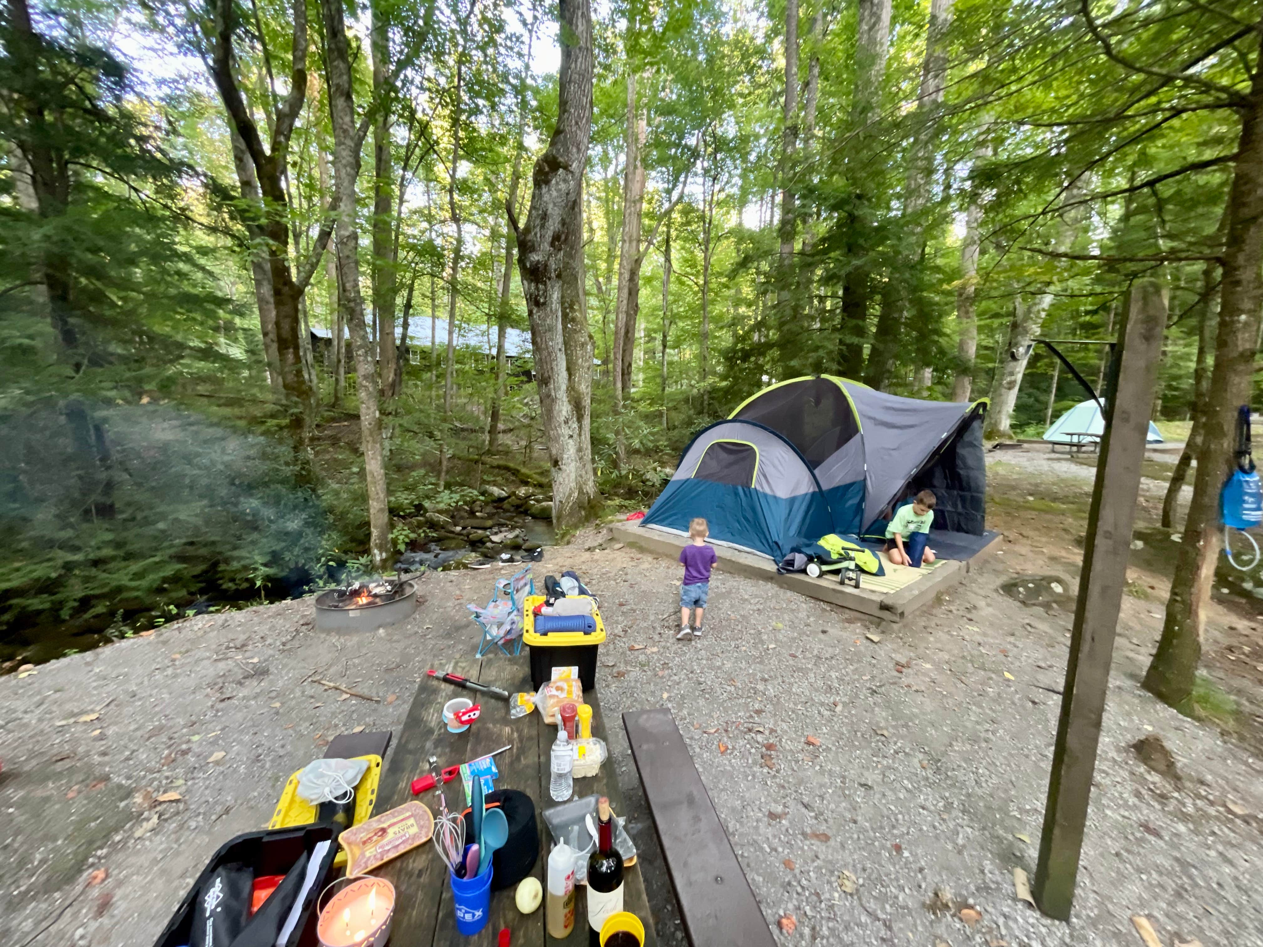 Taylor C.'s photo at Elkmont Campground — Great Smoky Mountains National Park in Tennessee
