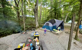Taylor C.'s photo at Elkmont Campground — Great Smoky Mountains National Park in Tennessee