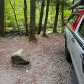 Review photo of Elkmont Campground — Great Smoky Mountains National Park by Tyler E., September 11, 2023