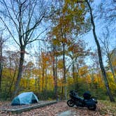 Review photo of Elkmont Campground — Great Smoky Mountains National Park by Staci W., October 28, 2023