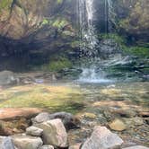 Review photo of Elkmont Campground — Great Smoky Mountains National Park by Taylor C., April 3, 2025