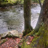 Review photo of Elkmont Campground — Great Smoky Mountains National Park by Tyler E., September 11, 2023