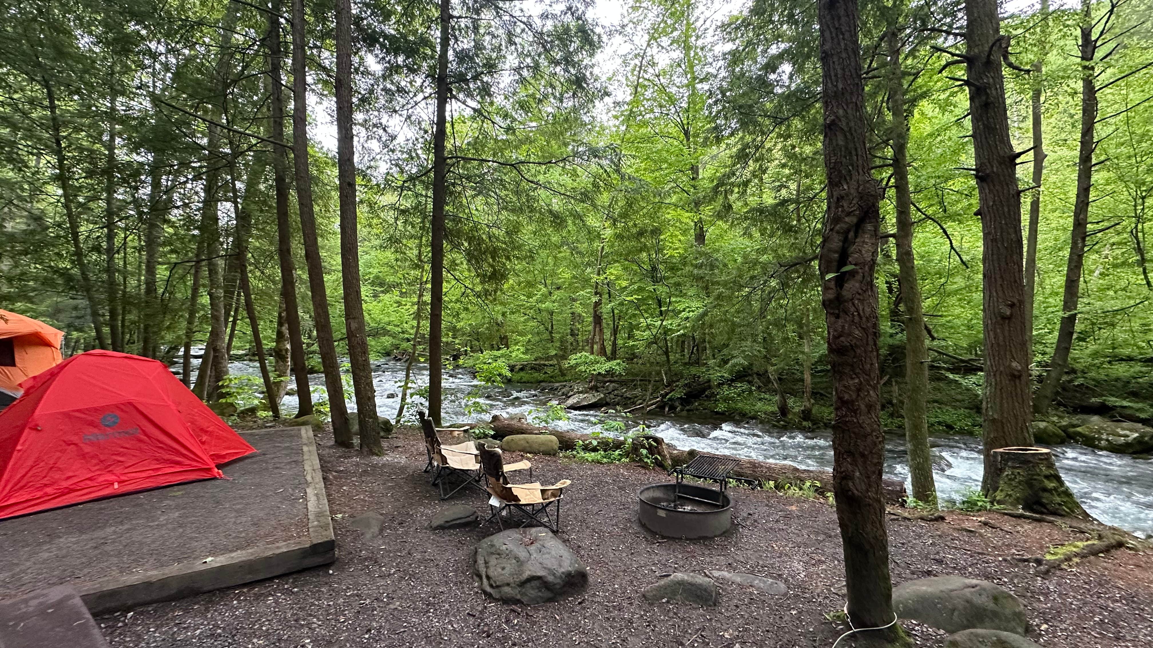 Cari E.'s photo at Elkmont Campground — Great Smoky Mountains National Park near Gatlinburg, TN