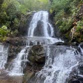 Review photo of Elkmont Campground — Great Smoky Mountains National Park by Tyler E., September 11, 2023