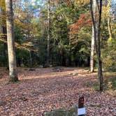 Review photo of Elkmont Campground — Great Smoky Mountains National Park by Staci W., October 28, 2023