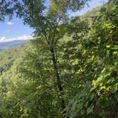 Review photo of Elkmont Campground — Great Smoky Mountains National Park by Tyler E., September 11, 2023