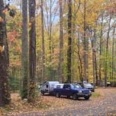 Review photo of Elkmont Campground — Great Smoky Mountains National Park by Shawn S., May 4, 2026