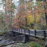 Review photo of Elkmont Campground — Great Smoky Mountains National Park by Shawn S., May 4, 2026