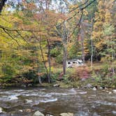 Review photo of Elkmont Campground — Great Smoky Mountains National Park by Shawn S., May 4, 2026