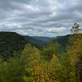 Review photo of Fall Creek Falls State Park Campground by Cindy S., September 19, 2024