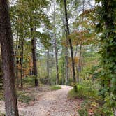 Review photo of Fall Creek Falls State Park Campground by Cindy S., September 19, 2024