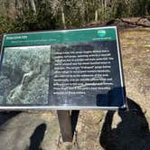 Review photo of Fall Creek Falls State Park Campground by Richard F., March 25, 2025
