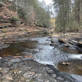 Review photo of Fall Creek Falls State Park Campground by Andrew S., December 28, 2023