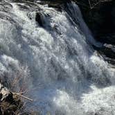Review photo of Fall Creek Falls State Park Campground by Richard F., March 25, 2025