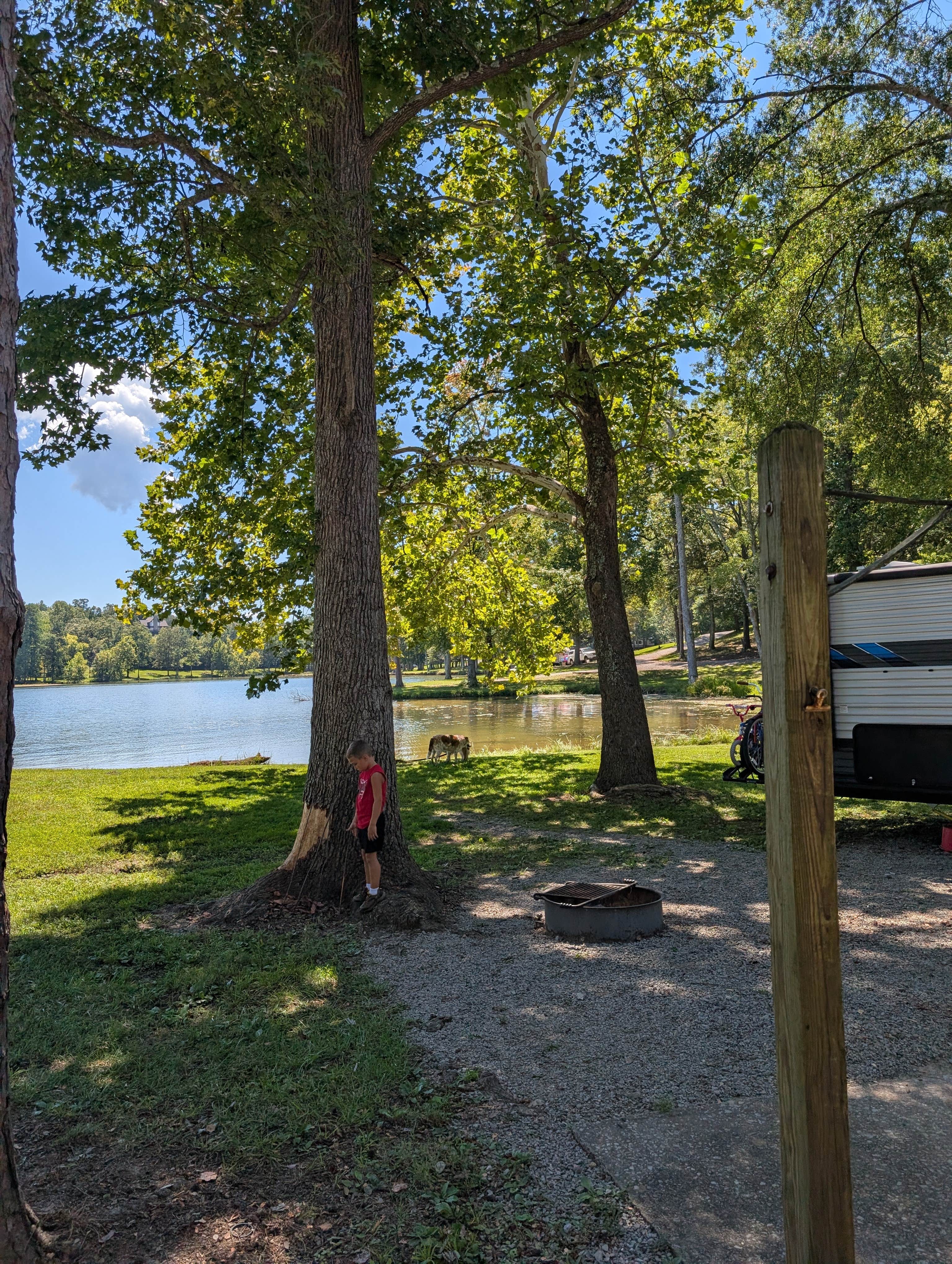 Kc K.'s photo of camping with pets at Fooshee Pass Campground near Sale Creek, TN