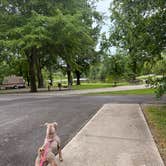 Review photo of Harpeth River Bridge Campground (TN) by Angel K., June 11, 2026