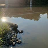 Review photo of Harpeth River Bridge Campground (TN) by Pete S., July 24, 2026