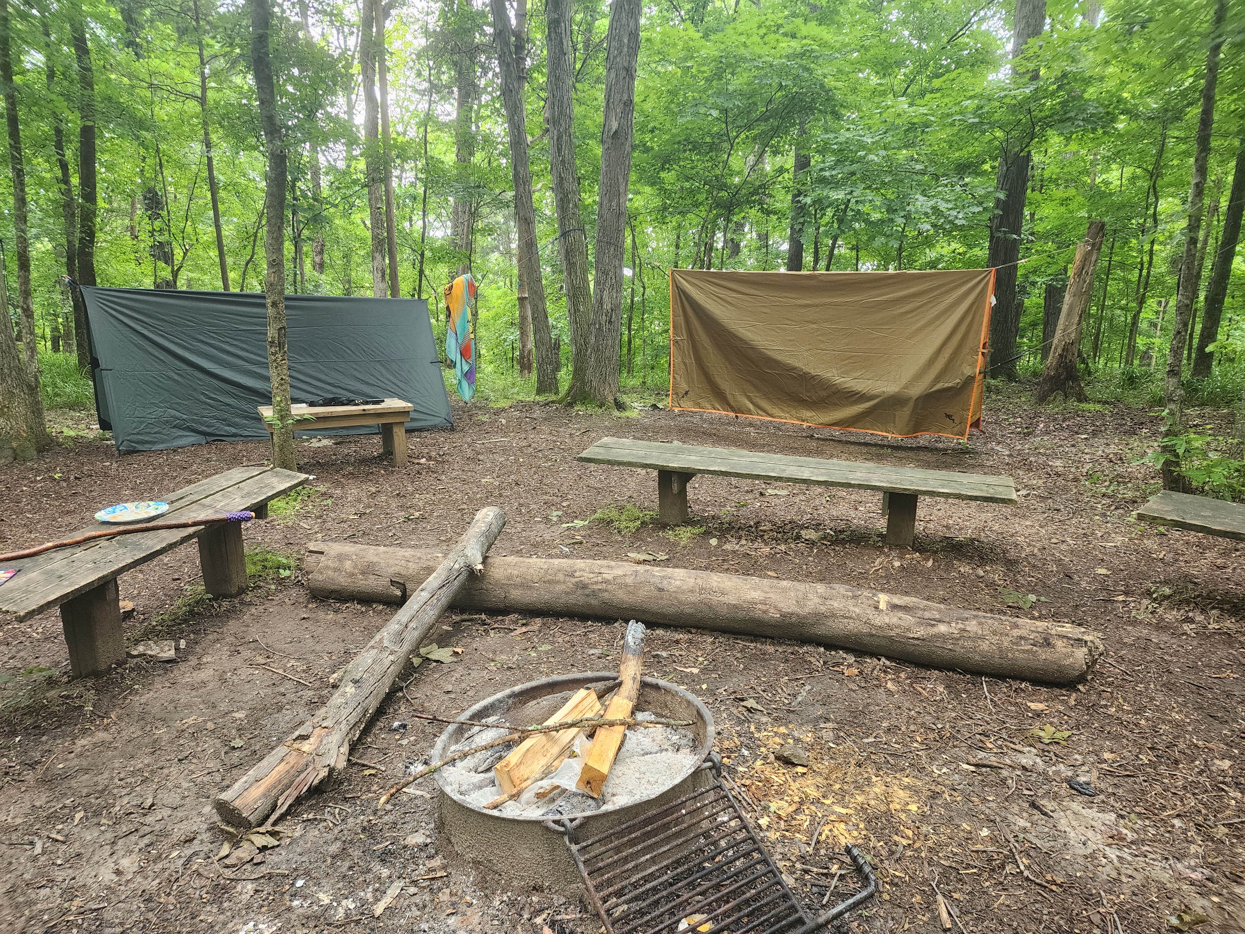 Daniol S.'s photo at Henry Horton State Park Campground near Spring Hill, TN