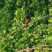 Review photo of Henry Horton State Park Campground by Daniol S., October 3, 2025