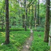 Review photo of Henry Horton State Park Campground by Daniol S., October 3, 2025