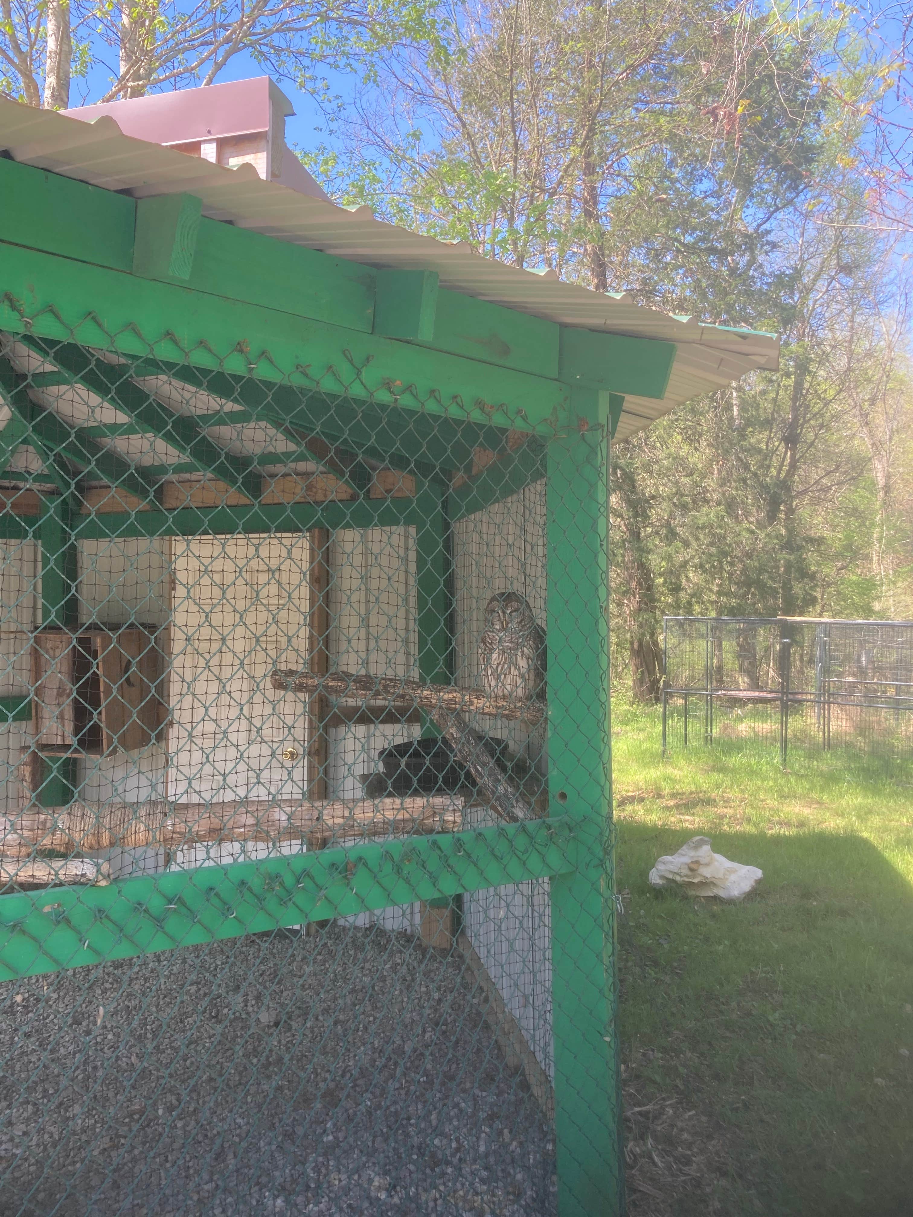 Lucy P.'s photo of camping with pets at Henry Horton State Park Campground near Lynchburg, Moore County, TN