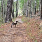Review photo of Indian Boundary by Ryan P., April 10, 2025
