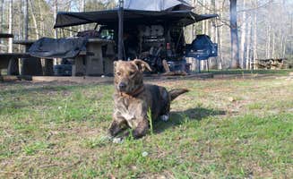 Ryan P.'s photo of camping with pets at Indian Boundary near Madisonville, TN