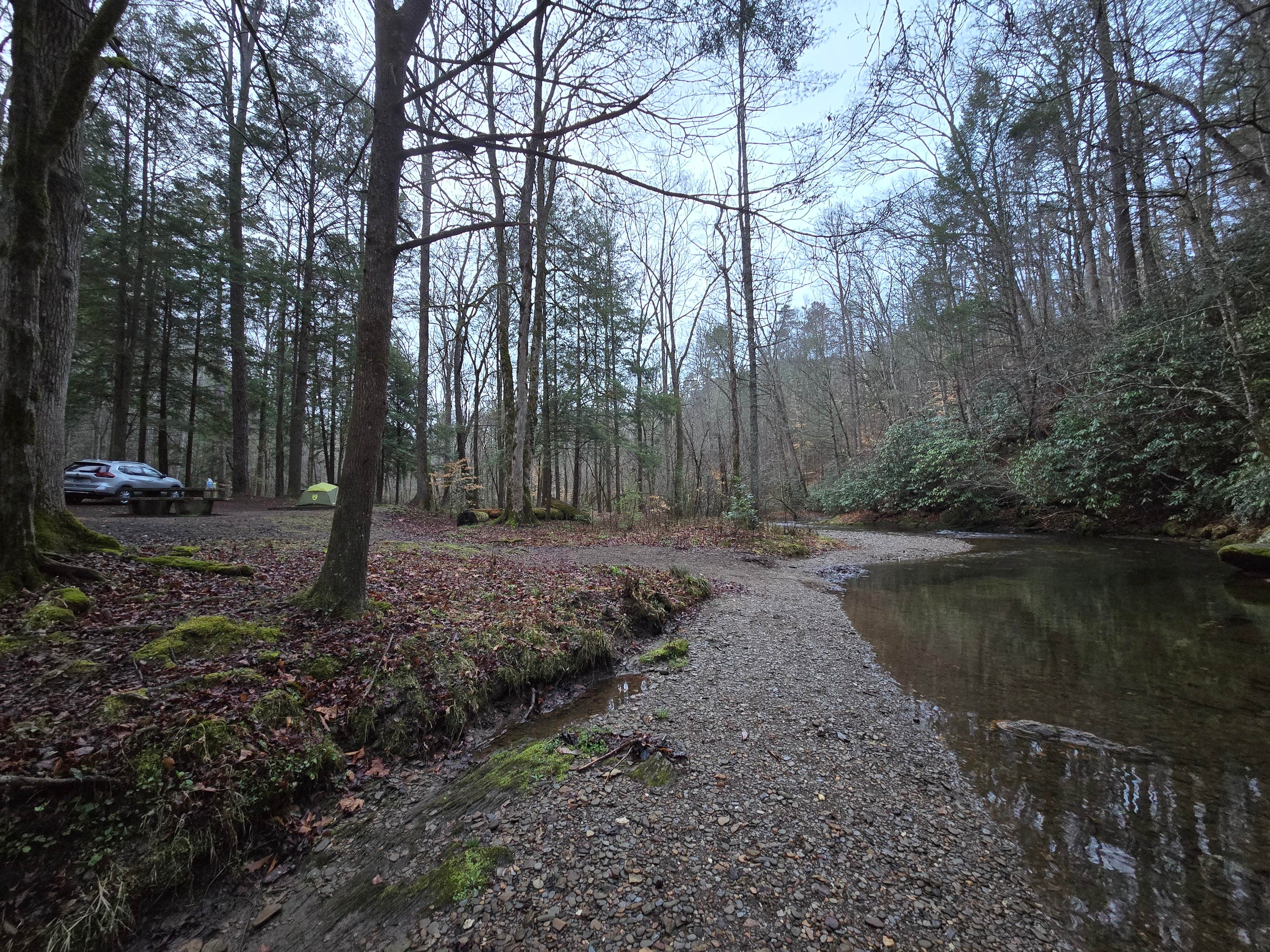Andrew W.'s photo of a dispersed camping area at Lost Creek - Cherokee NF near Athens, TN