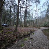 Review photo of Lost Creek - Cherokee NF by Andrew W., March 12, 2026