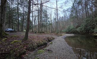 Andrew W.'s photo of tent camping at Lost Creek - Cherokee NF near Copperhill, TN