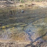 Review photo of Lost Creek - Cherokee NF by Will P., March 20, 2026