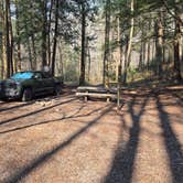 Review photo of Lost Creek - Cherokee NF by Will P., March 20, 2026