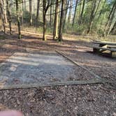 Review photo of Lost Creek - Cherokee NF by Will P., March 20, 2026