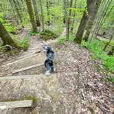 Review photo of Meeman-Shelby Forest State Park by Taylor C., April 18, 2024