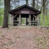 Review photo of Meeman-Shelby Forest State Park by Taylor C., April 18, 2024