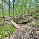 Review photo of Meeman-Shelby Forest State Park by Taylor C., April 18, 2024