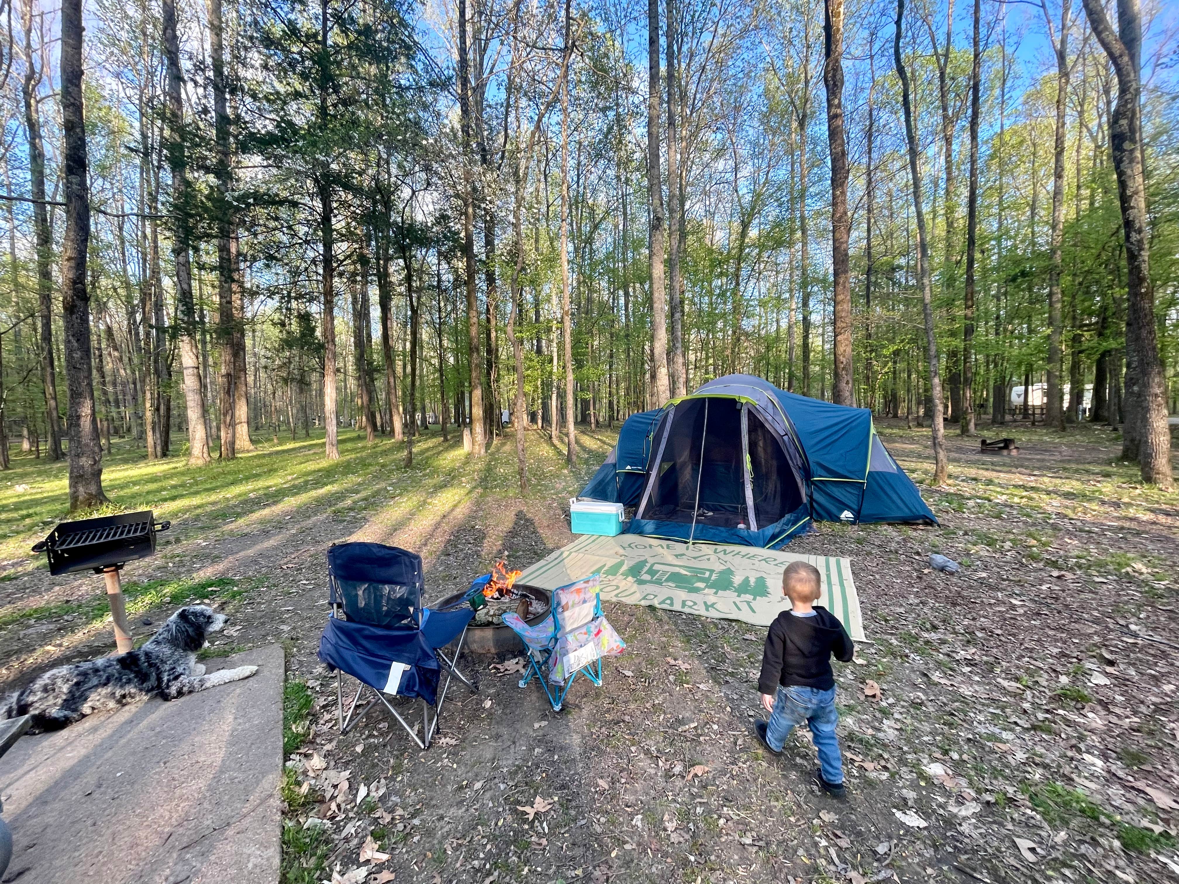 Taylor C.'s photo of camping with pets at Meeman-Shelby Forest State Park near West Memphis, AR