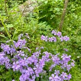 Review photo of Meeman-Shelby Forest State Park by Taylor C., April 18, 2024