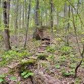 Review photo of Meeman-Shelby Forest State Park by Taylor T., April 18, 2024