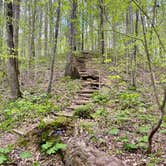 Review photo of Meeman-Shelby Forest State Park by Taylor C., April 18, 2024