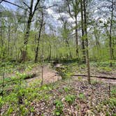 Review photo of Meeman-Shelby Forest State Park by Taylor C., April 18, 2024