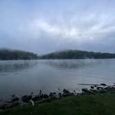 Review photo of Melton Hill Dam Campground — Tennessee Valley Authority (TVA) by amanda F., June 2, 2025