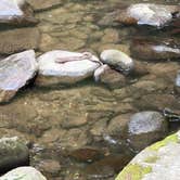 Review photo of North River Campground by Nate S., July 20, 2026