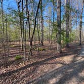 Review photo of Old Stone Fort State Archaeological Park by adrienne T., April 9, 2026
