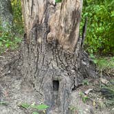 Review photo of Panther Creek State Park Campground by Jennifer M., August 31, 2025