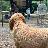 Review photo of Pickwick Landing State Park Campground by James R., July 20, 2024