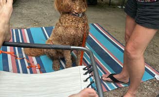 Sable A.'s photo of camping with pets at Pickwick Landing State Park Campground near Savannah, TN